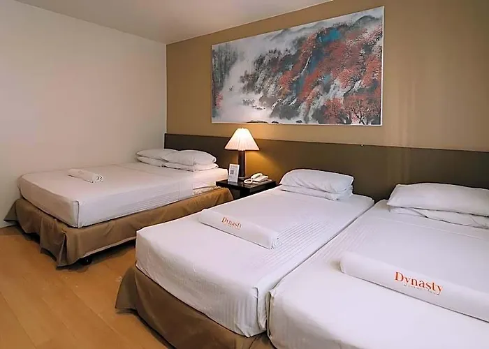 Dynasty Tourist 3*